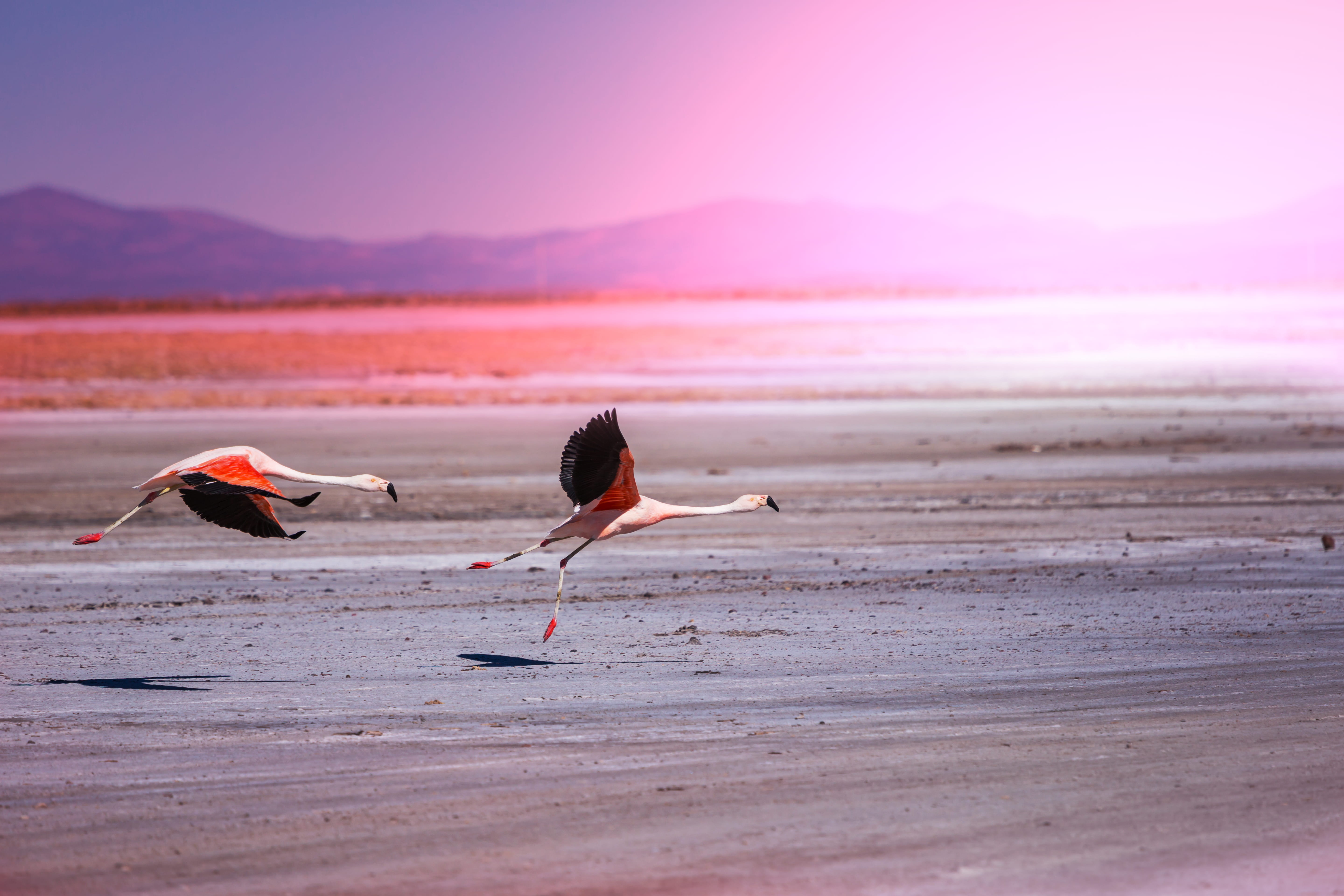 Etosha & Skeleton Coast Discovery