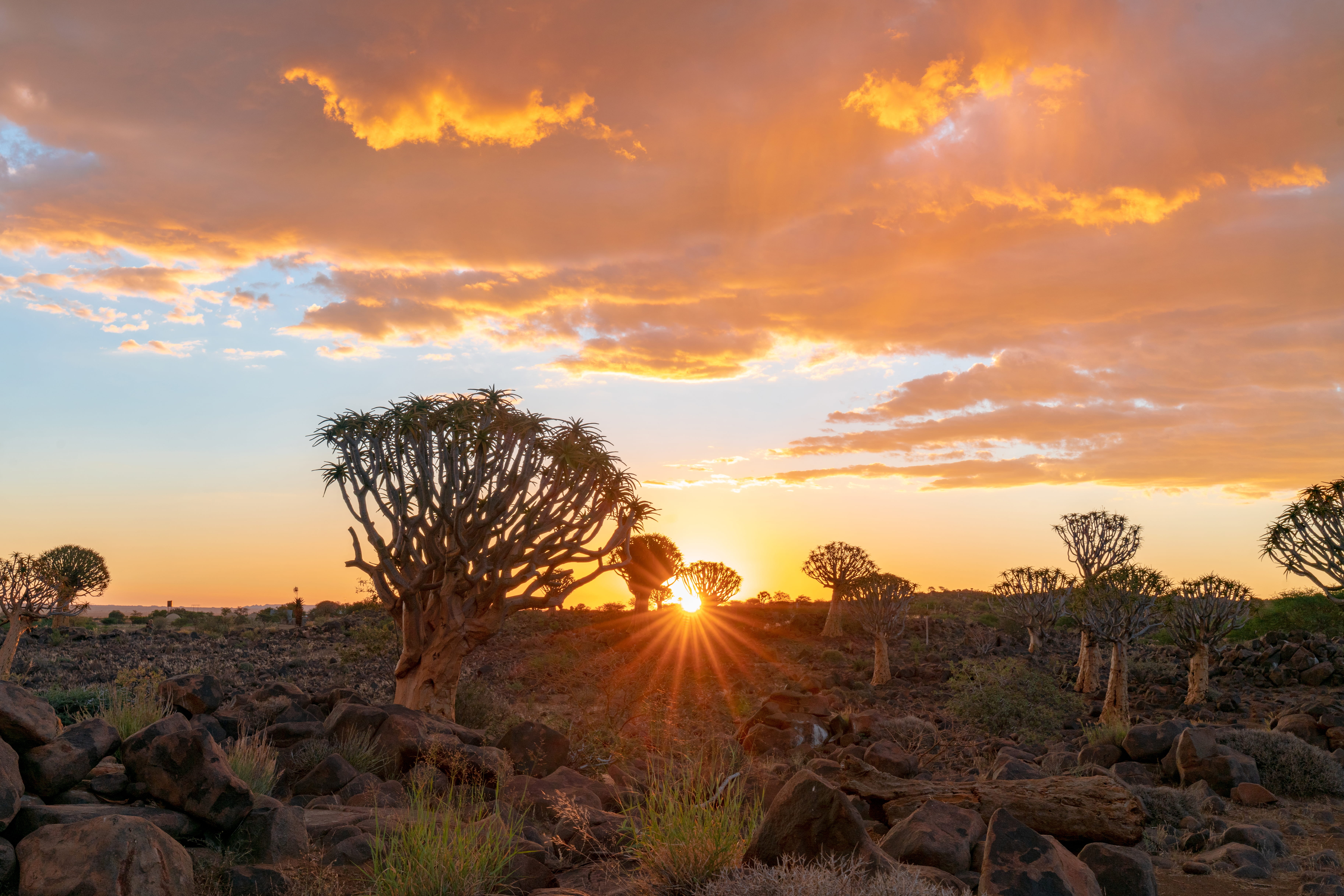 Grand Namibia Explorer