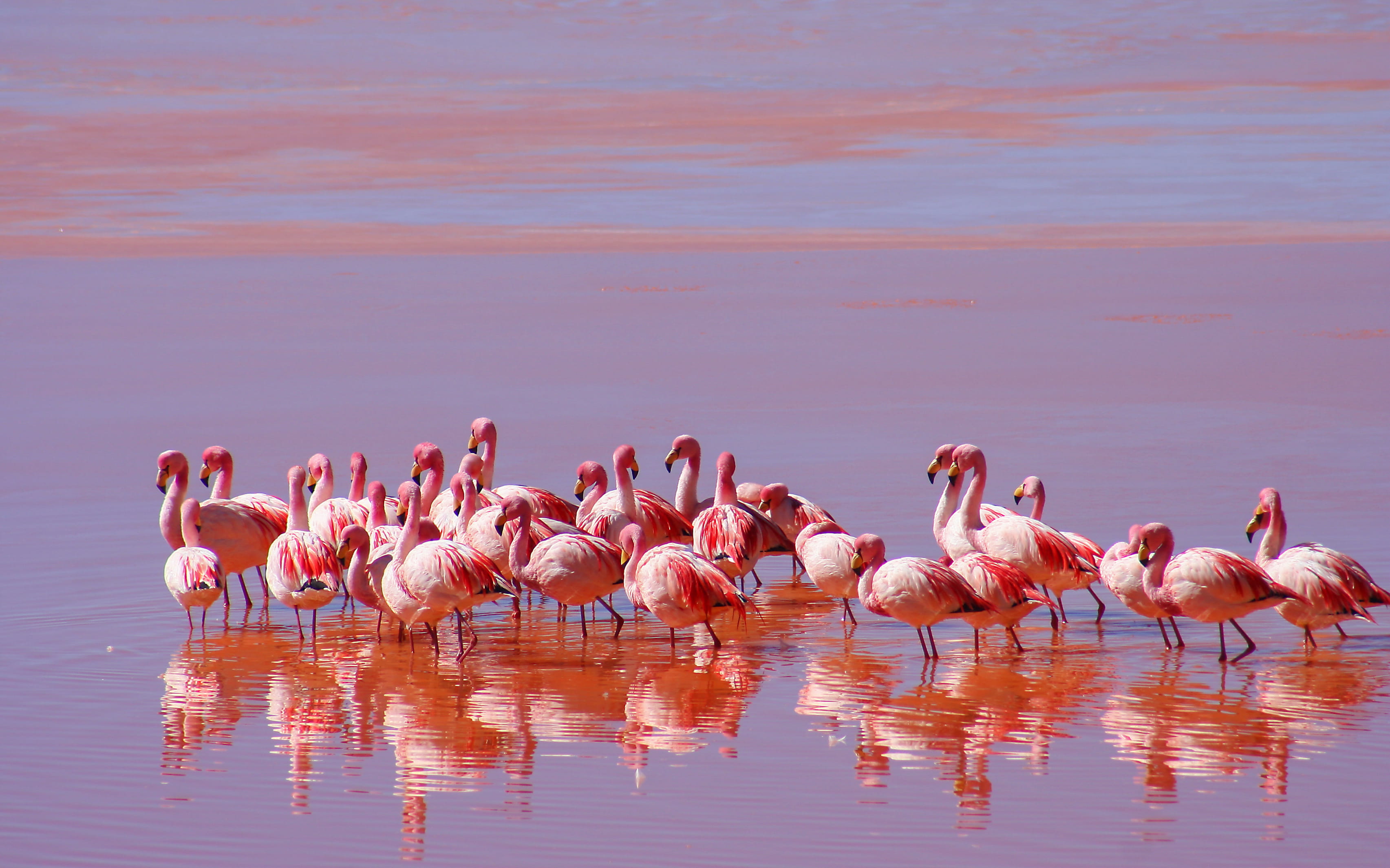 Complete Namibia & Fish River Canyon Expedition